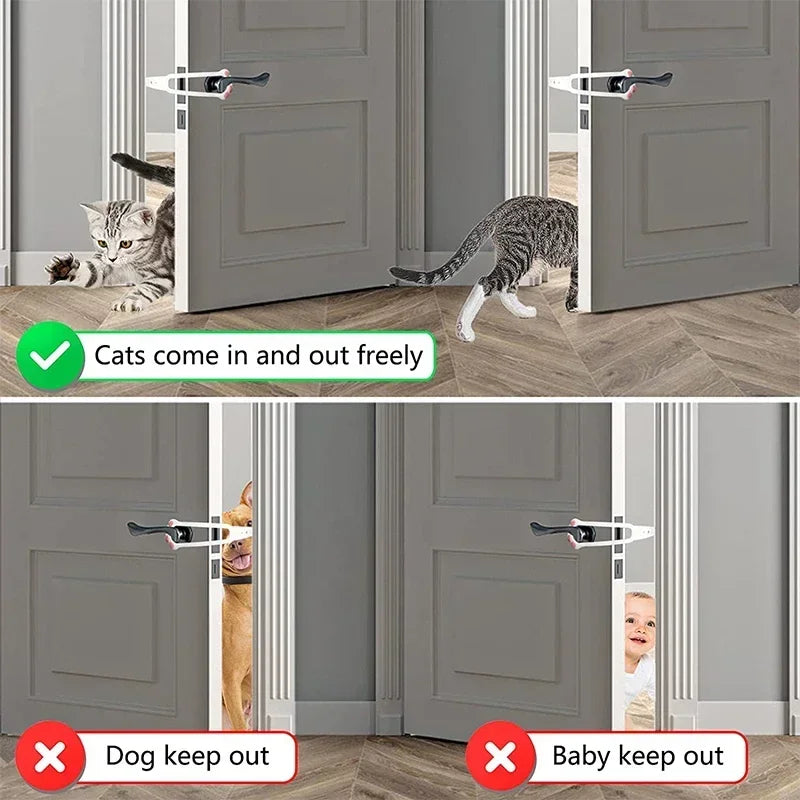 Catpass™